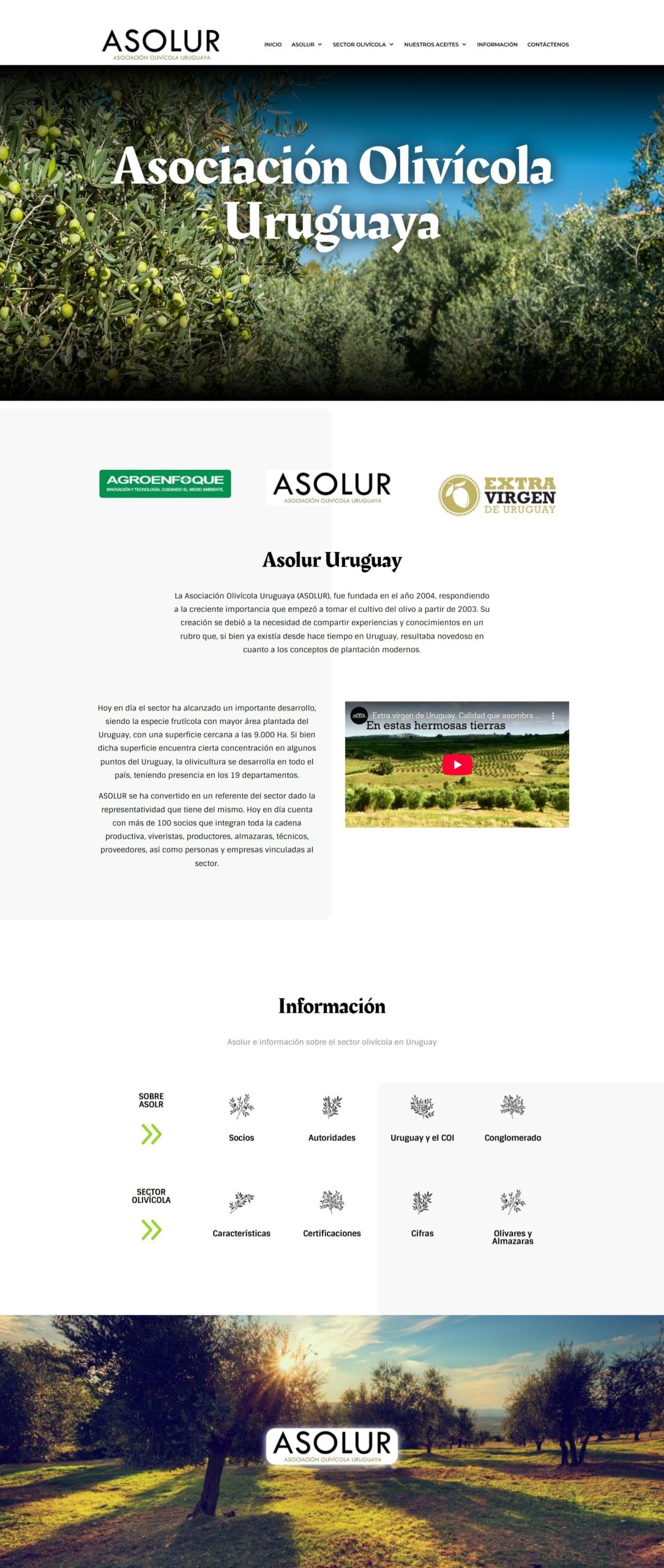 Captura de pantalla_17-8-2025_202149_asolur.org.uy